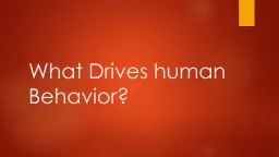 What Drives human Behavior?