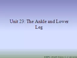 Unit 23:  The Ankle and Lower Leg