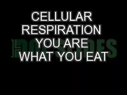 CELLULAR RESPIRATION YOU ARE WHAT YOU EAT