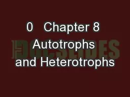 0   Chapter 8 Autotrophs and Heterotrophs