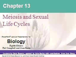 Chapter 13 Meiosis and Sexual