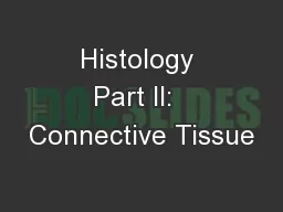 Histology Part II:  Connective Tissue