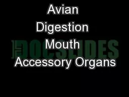 Avian Digestion Mouth Accessory Organs
