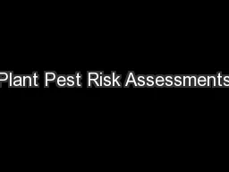 Plant Pest Risk Assessments