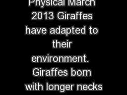Physical March 2013 Giraffes have adapted to their environment.  Giraffes born with longer