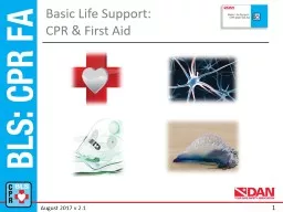 Basic Life Support:  CPR & First Aid