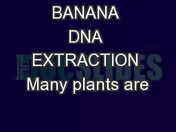 BANANA DNA EXTRACTION Many plants are