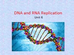 DNA and  RNA  Replication