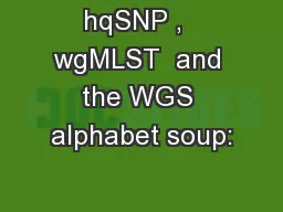 hqSNP ,  wgMLST  and the WGS alphabet soup: