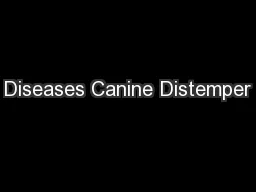 Diseases Canine Distemper