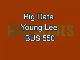 Big Data Young Lee BUS 550