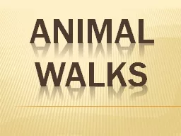 ANIMAL  WALKS ANIMAL WALKS
