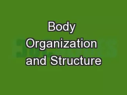 Body Organization and Structure