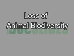 Loss of Animal Biodiversity