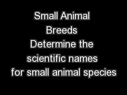 Small Animal Breeds Determine the scientific names for small animal species