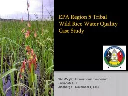 EPA Region 5 Tribal Wild Rice Water Quality Case Study