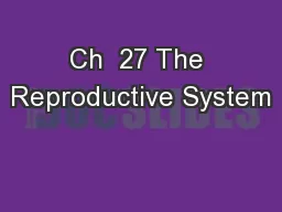 Ch  27 The Reproductive System