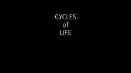 CYCLES of LIFE 28.3 How Do Nutrients Cycle Within and Among Ecosystems?
