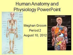 Human Anatomy and Physiology PowerPoint