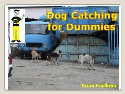 Dog   Catching  for Dummies