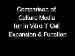Comparison of Culture Media for In Vitro T Cell Expansion & Function