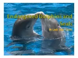 Endangered  Dolphins  and