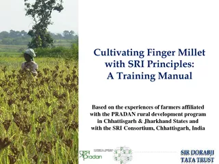 Based on the experiences of farmers affiliated ith the