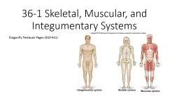 Chapter 36: Skeletal, Muscular, and Integumentary Systems