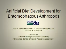 Desarrollo de Dietas Artificiales para Artrópodos