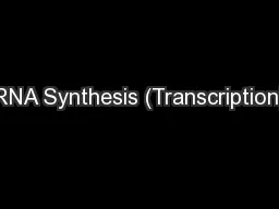RNA Synthesis (Transcription)
