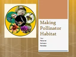 Making Pollinator  Habitat