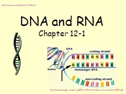 DNA and RNA Chapter 12-1