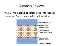 Osmosis Review  The cell membrane separates the internal cell solution from the exterior cell solut