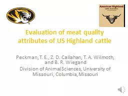 Evaluation of meat quality attributes of US Highland cattle