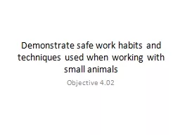 Demonstrate safe work habits and techniques used when working with small animals