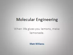 Molecular Engineering When life gives you lemons, make lemonade.