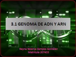3.1 GENOMA DE ADN Y ARN Reyna Yesenia Campos González