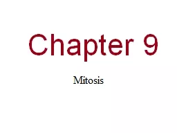 0  Chapter 9 Mitosis You Must Know