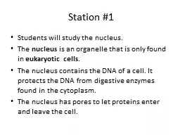 Station #1 Students will study the nucleus.