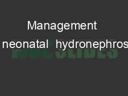 Management of neonatal  hydronephrosis