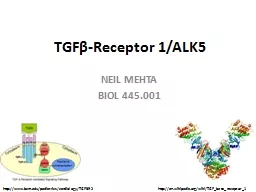 TGF β -Receptor 1/ALK5