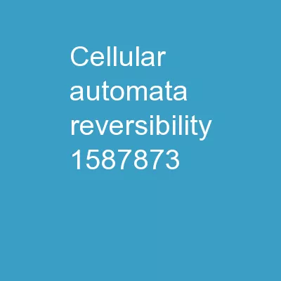 Cellular Automata Reversibility