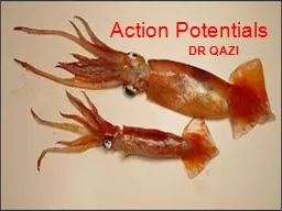 Action Potentials DR QAZI