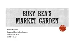 Busy Bea’s  Market Garden