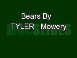 Bears By  TYLER   Mowery