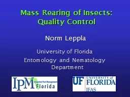 Mass Rearing of Insects: