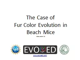 The Case of  Fur Color Evolution in