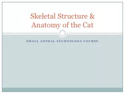 Small animal technology course