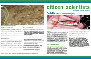citizen scientists WATERS ALIVE PROGRAM  F SHEET Featu