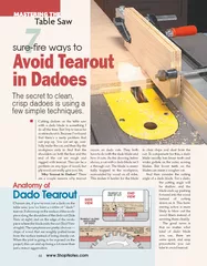 Cutting dadoes on the table saw with a dado blade is s